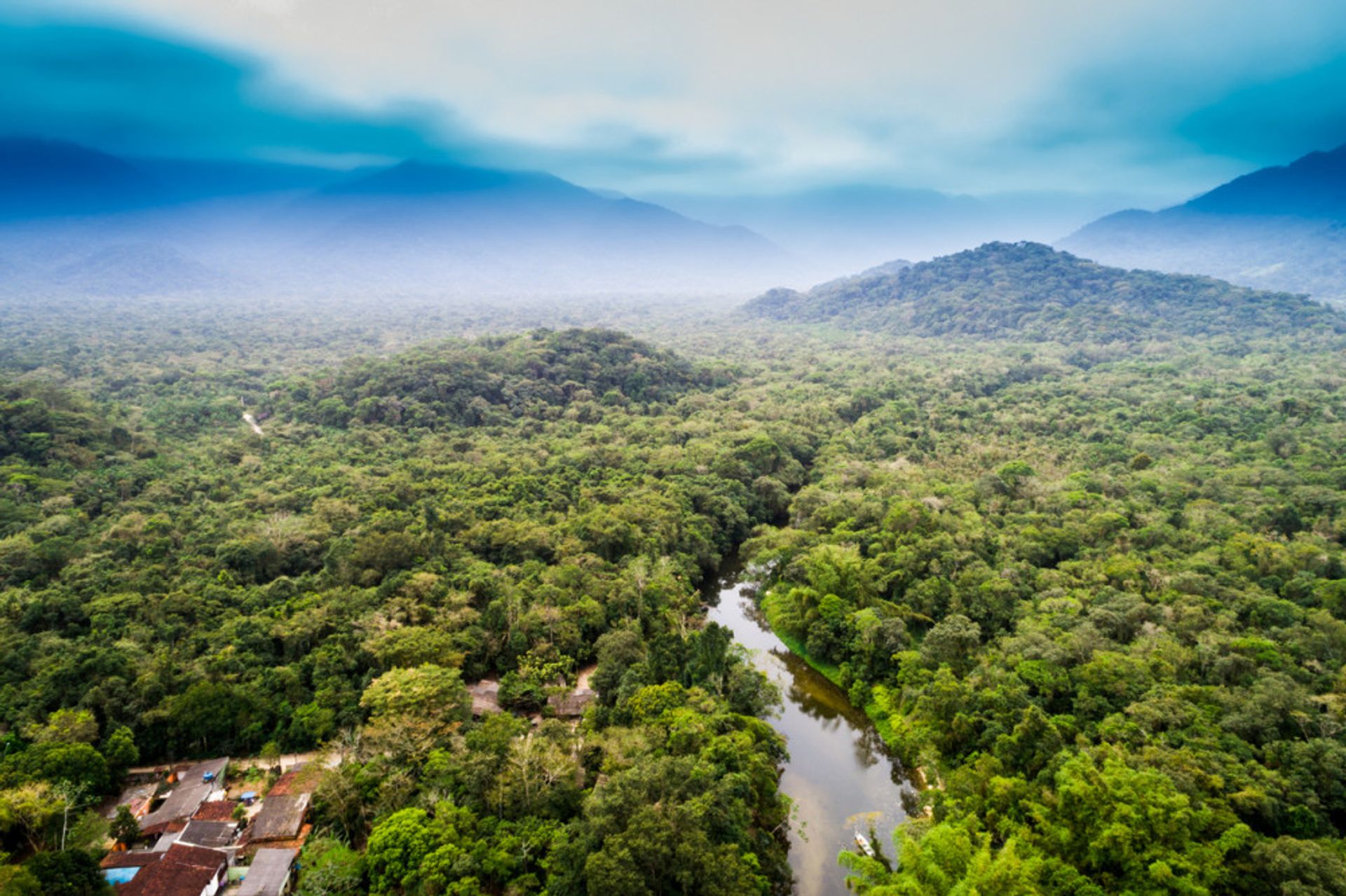 pantanal Brazilië