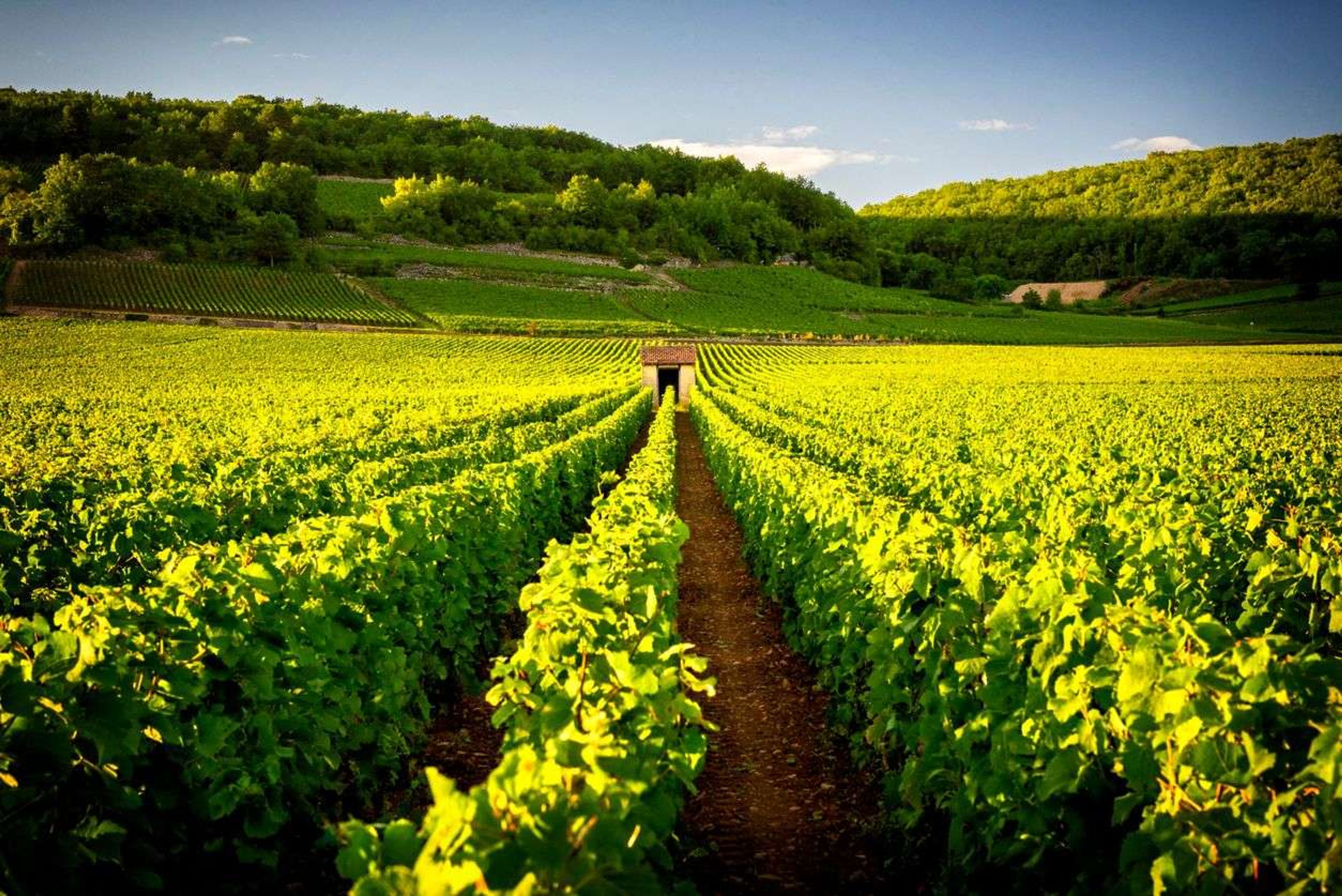 De mooiste wijnroutes door Europa - Toscane