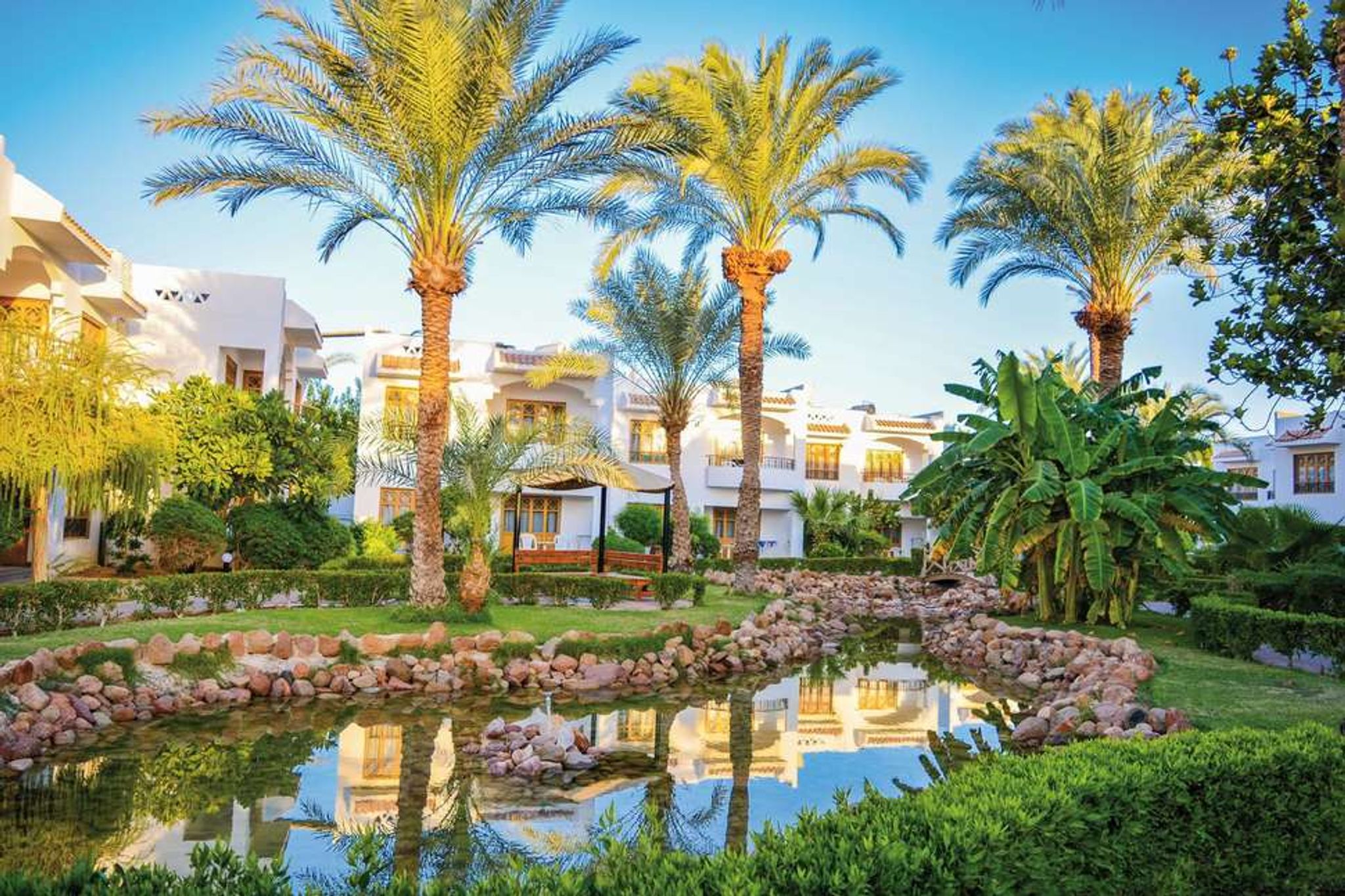 All inclusive Egypte Dive Inn Resort **** weflycheap