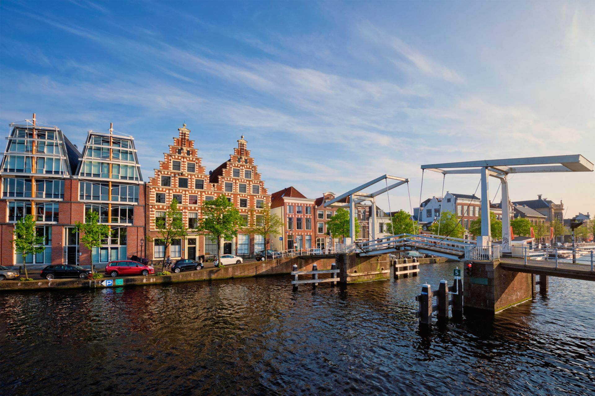 leuke steden nederland haarlem