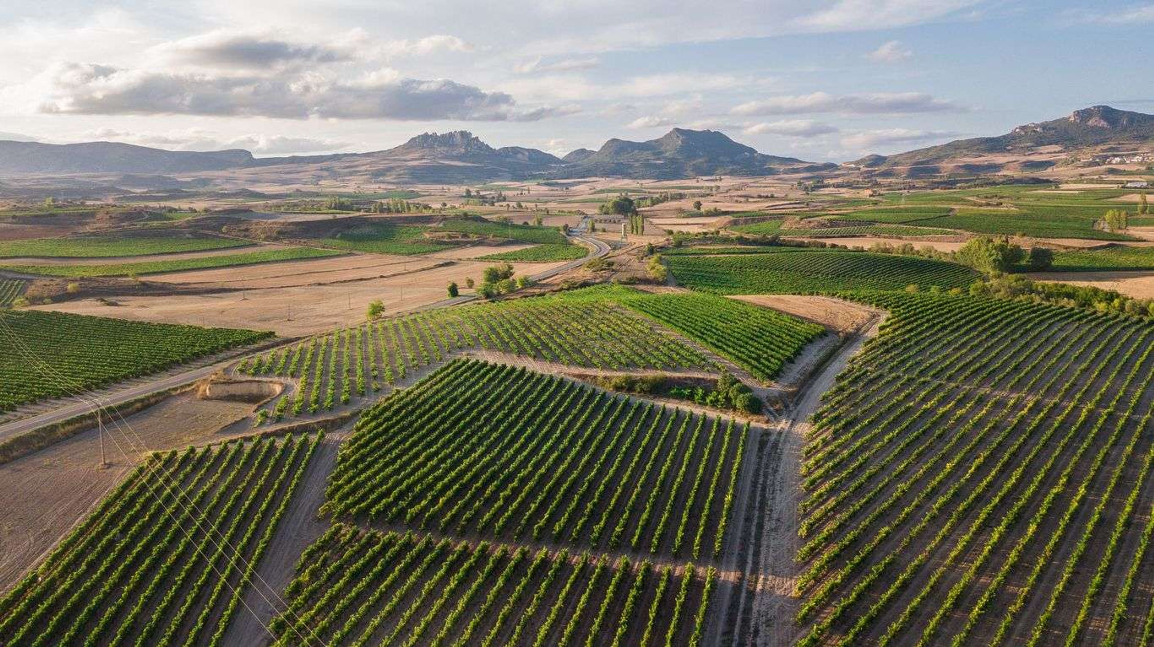 De mooiste wijnroutes door Europa - La Rioja