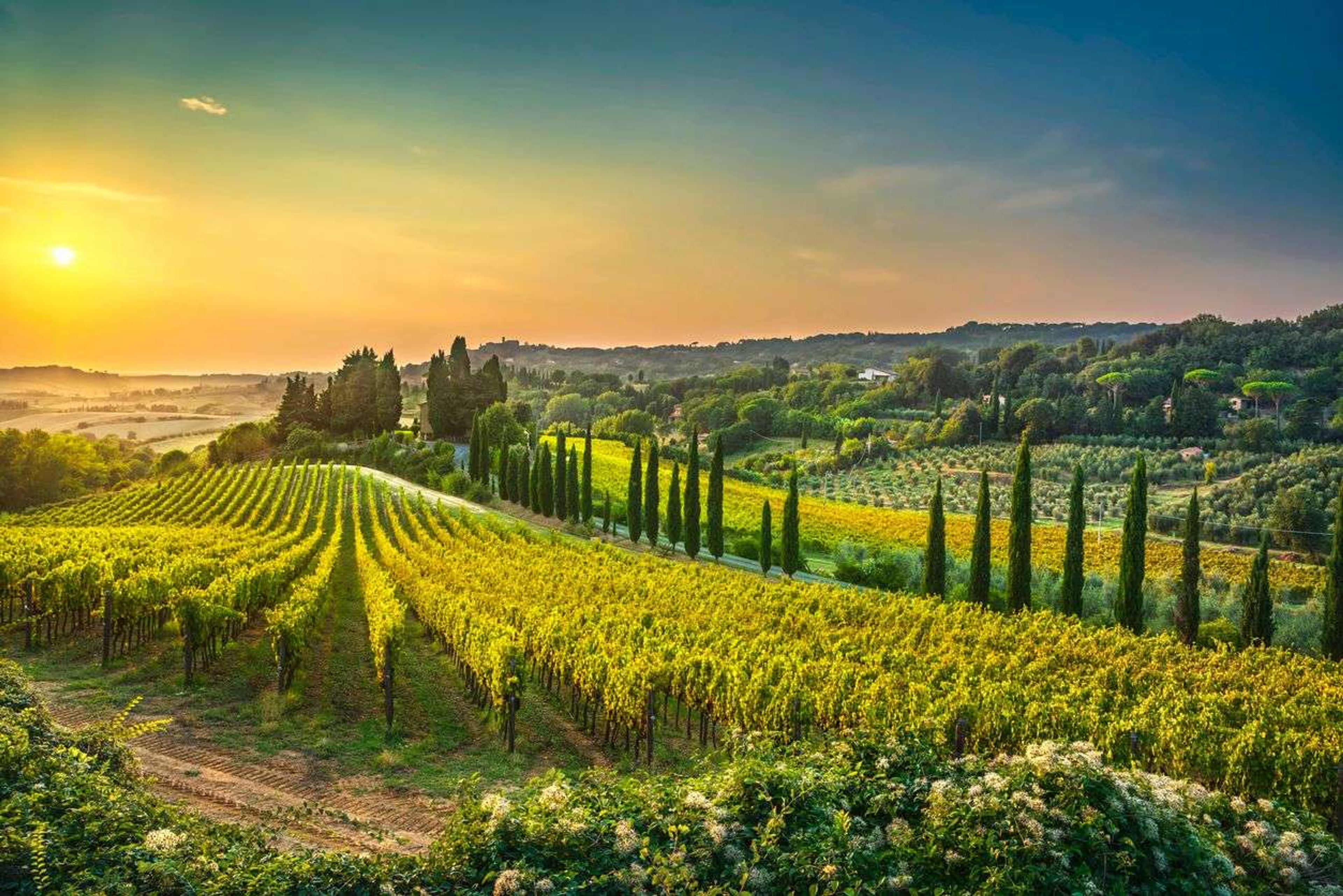 De mooiste wijnroutes door Europa - Toscane