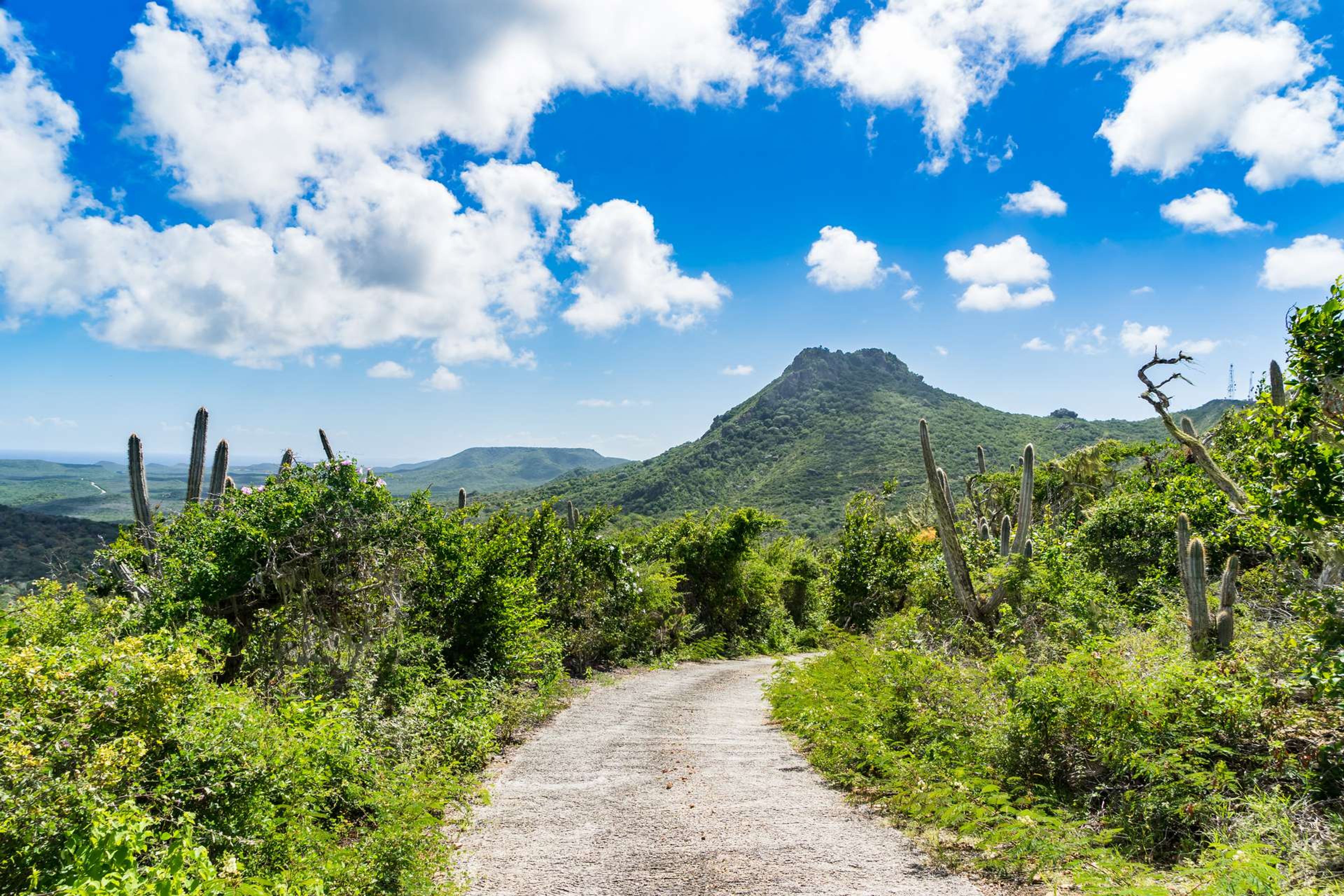 Curacao Christoffel National park