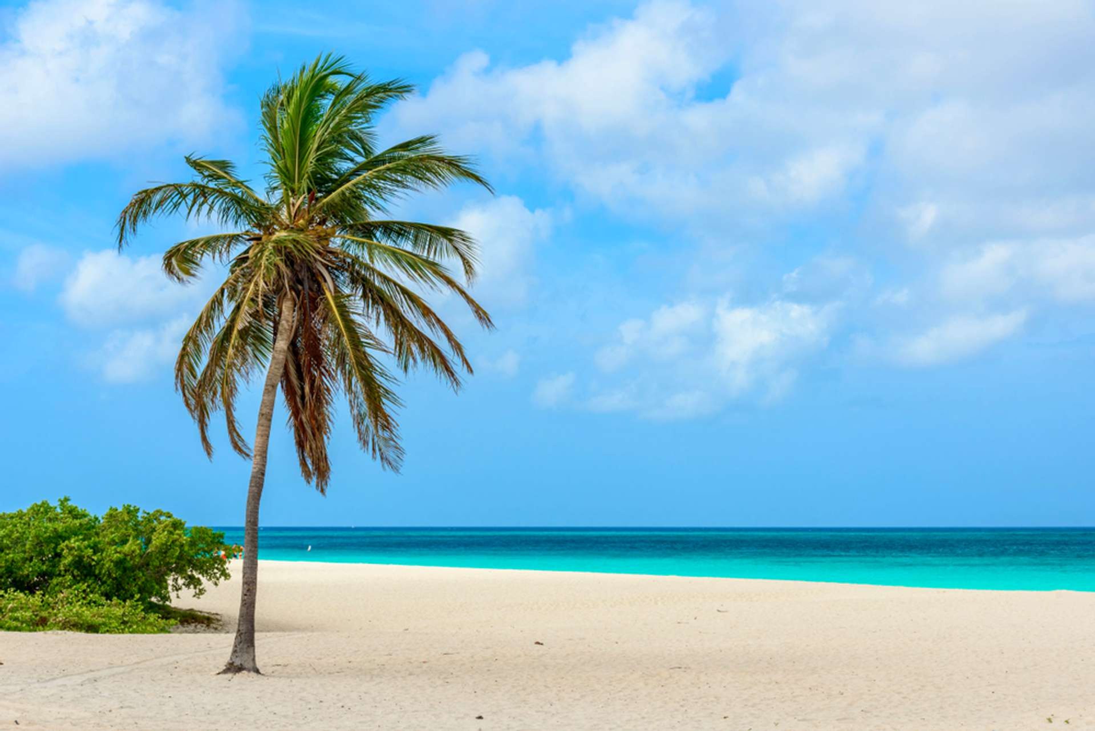 Aruba Eagle Beach