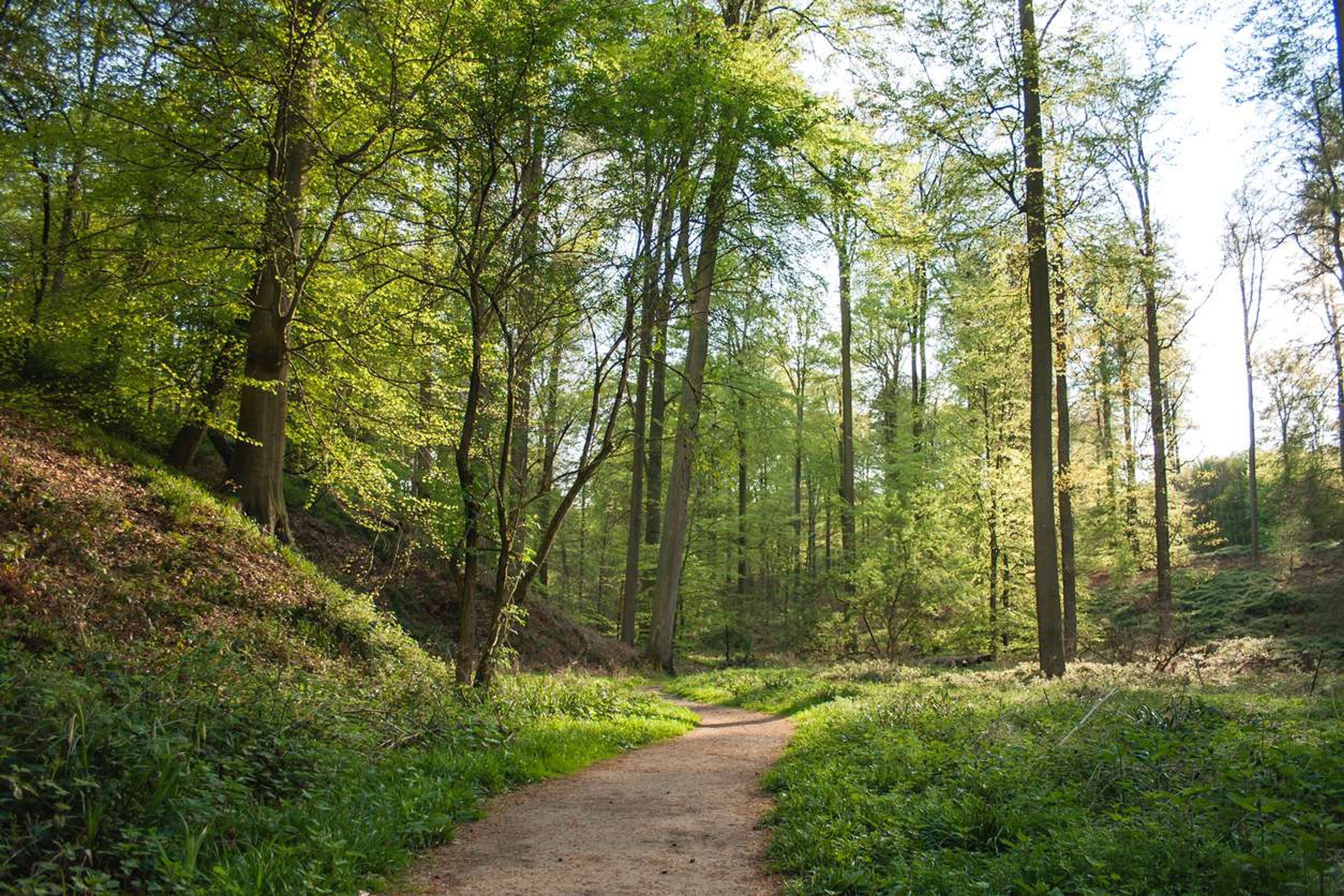 belgie natuur