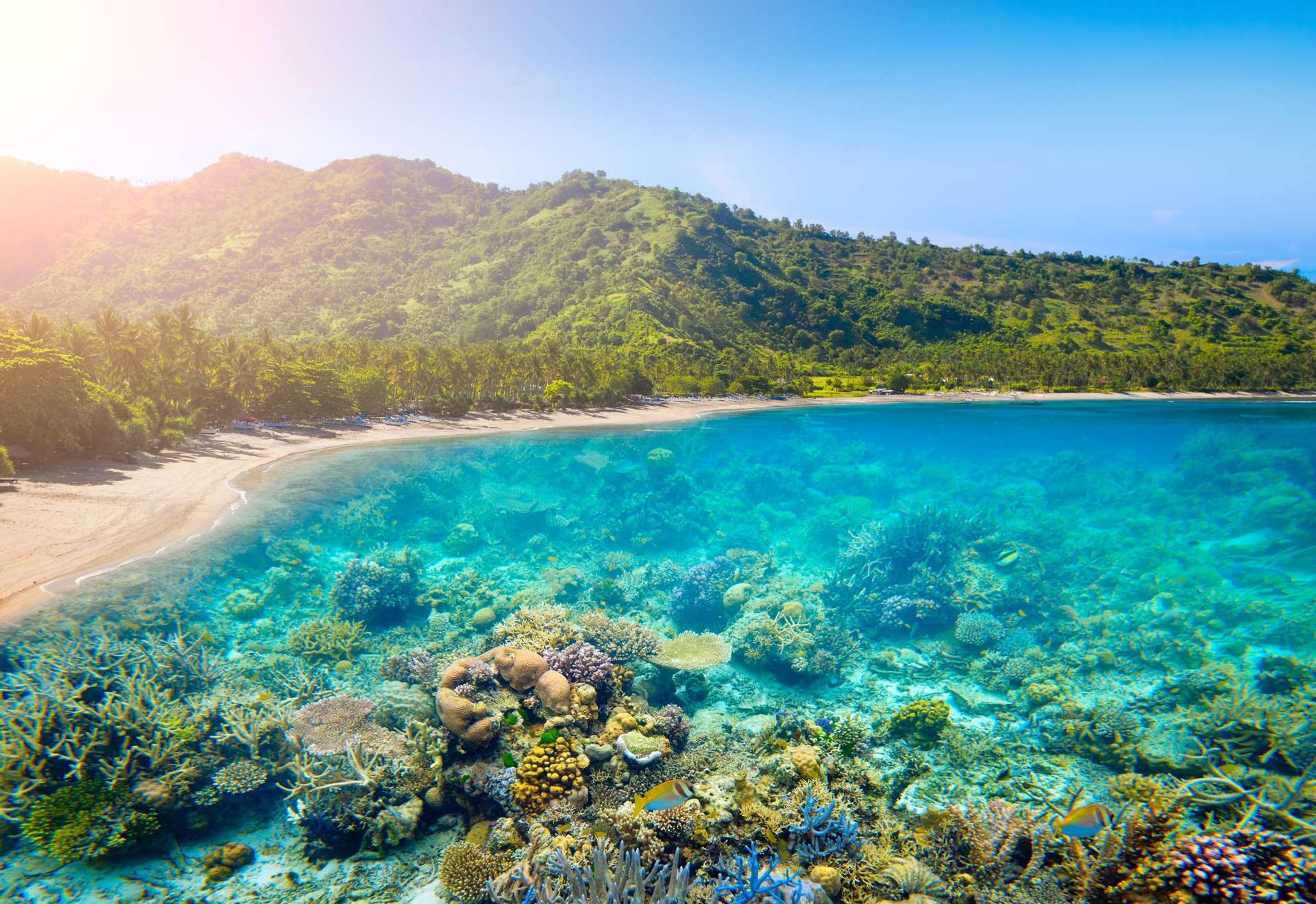 Indonesië Lombok