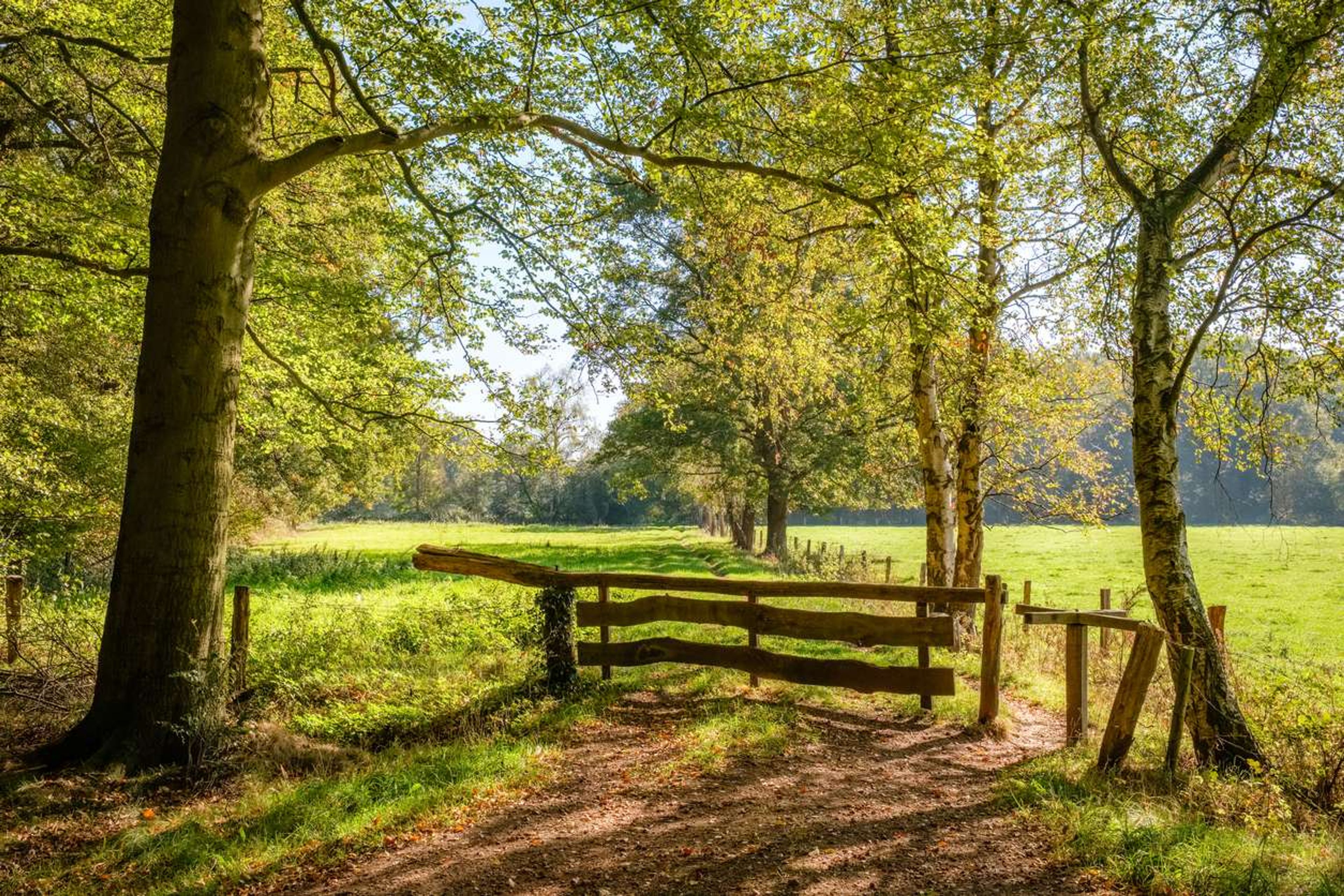 natuur overijssel