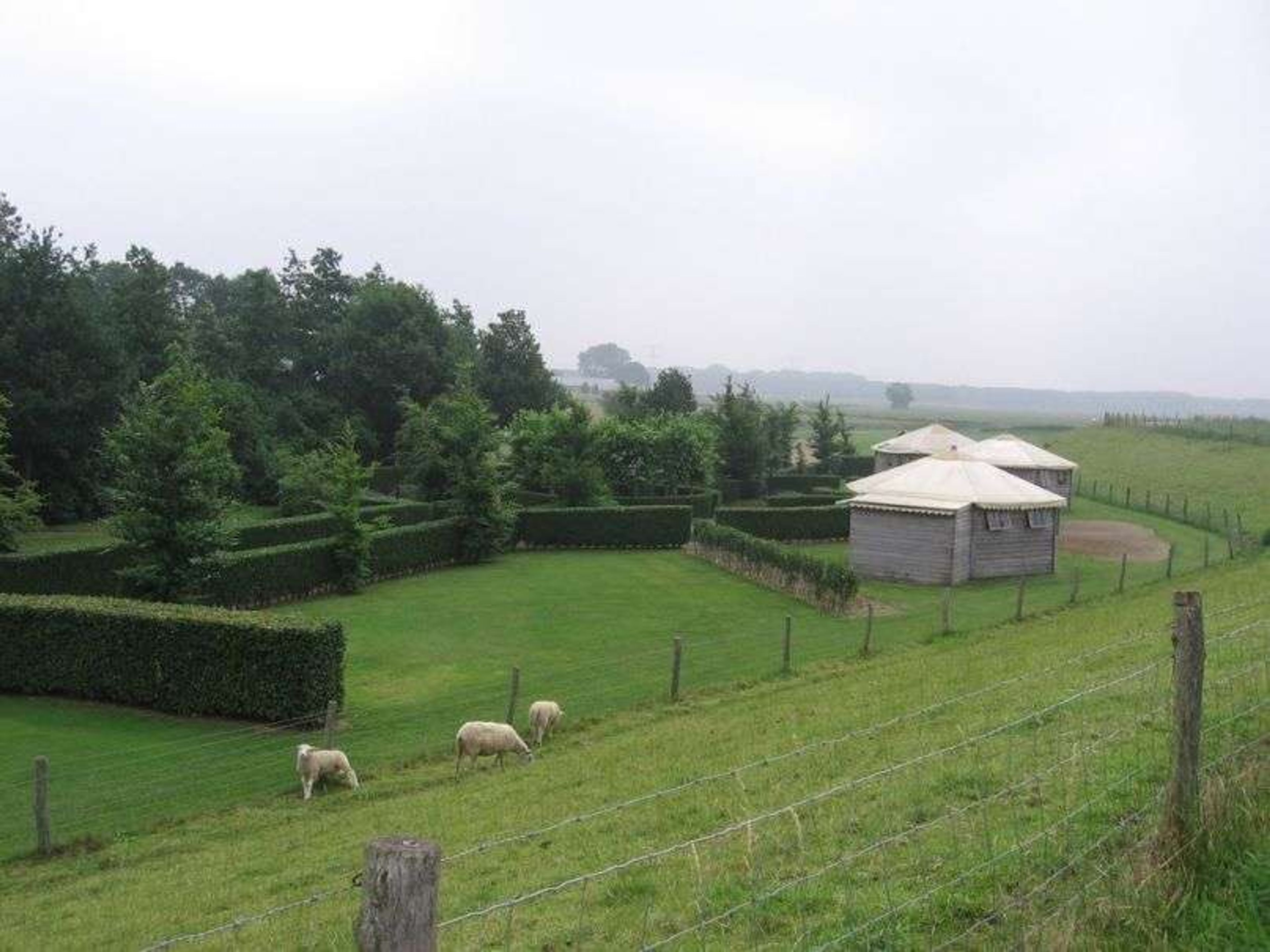 Natuurhuisje batenburg schapen