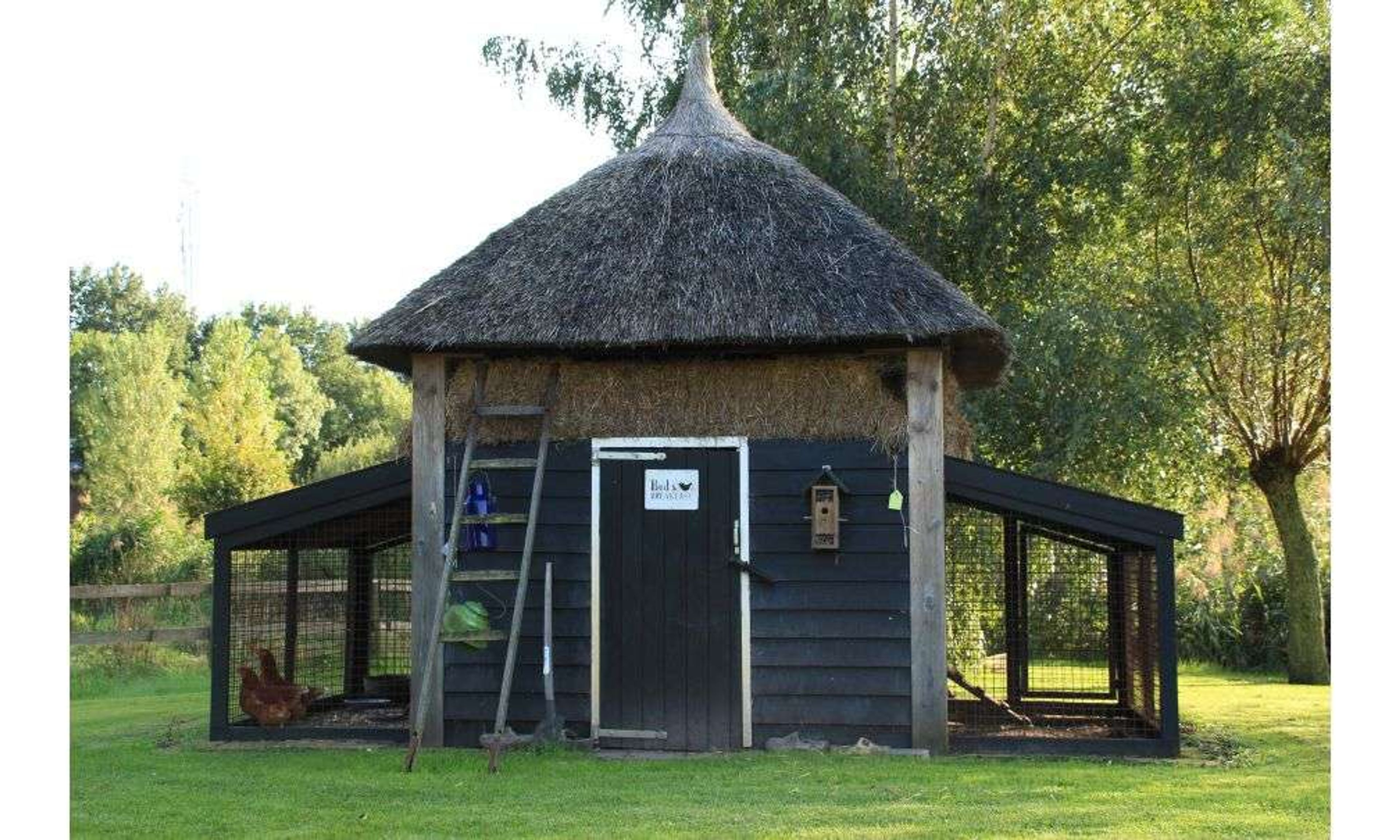 natuurhuisje ruinerwold drenthe kippenhok