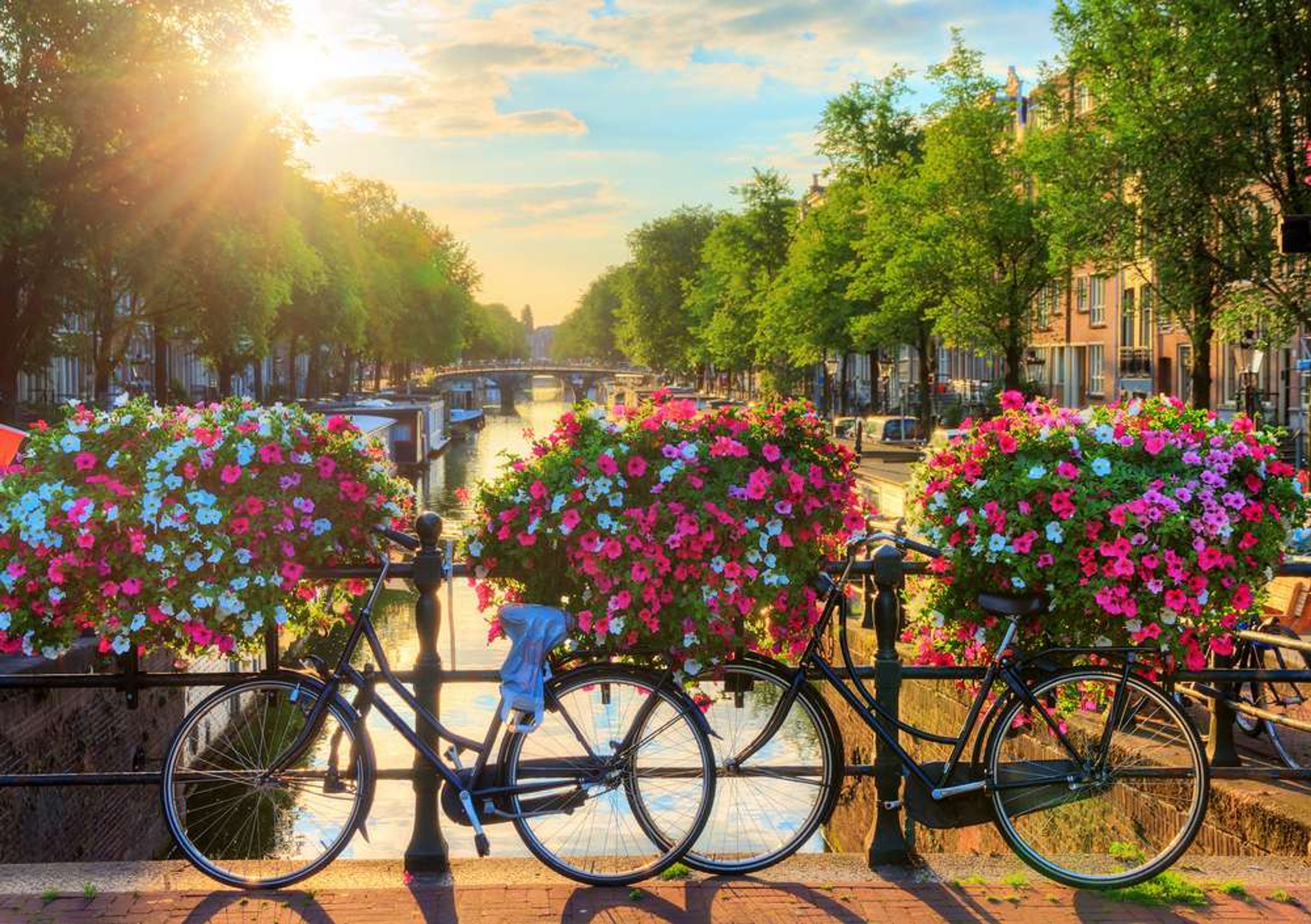 Nederland Amsterdam fietsen op brug