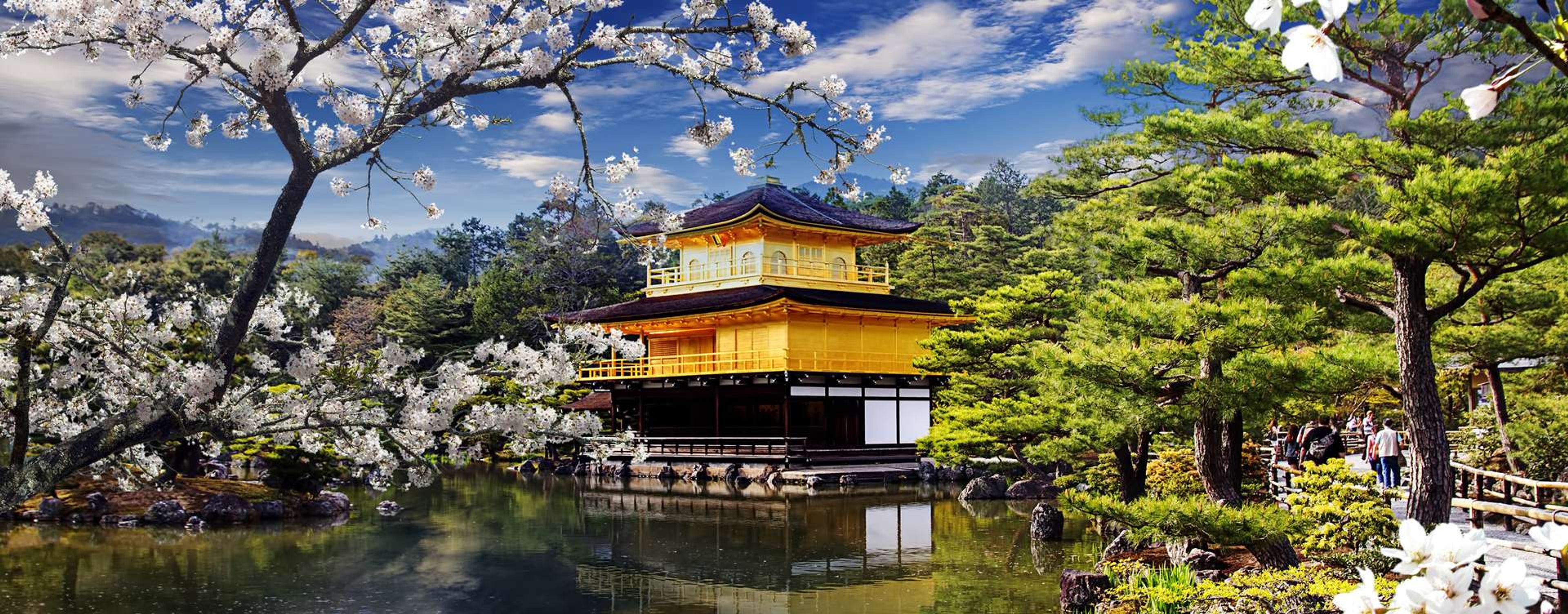 SJA   Japan   Kyoto   Gouden Tempel   Sakura   shutterstock 136606331