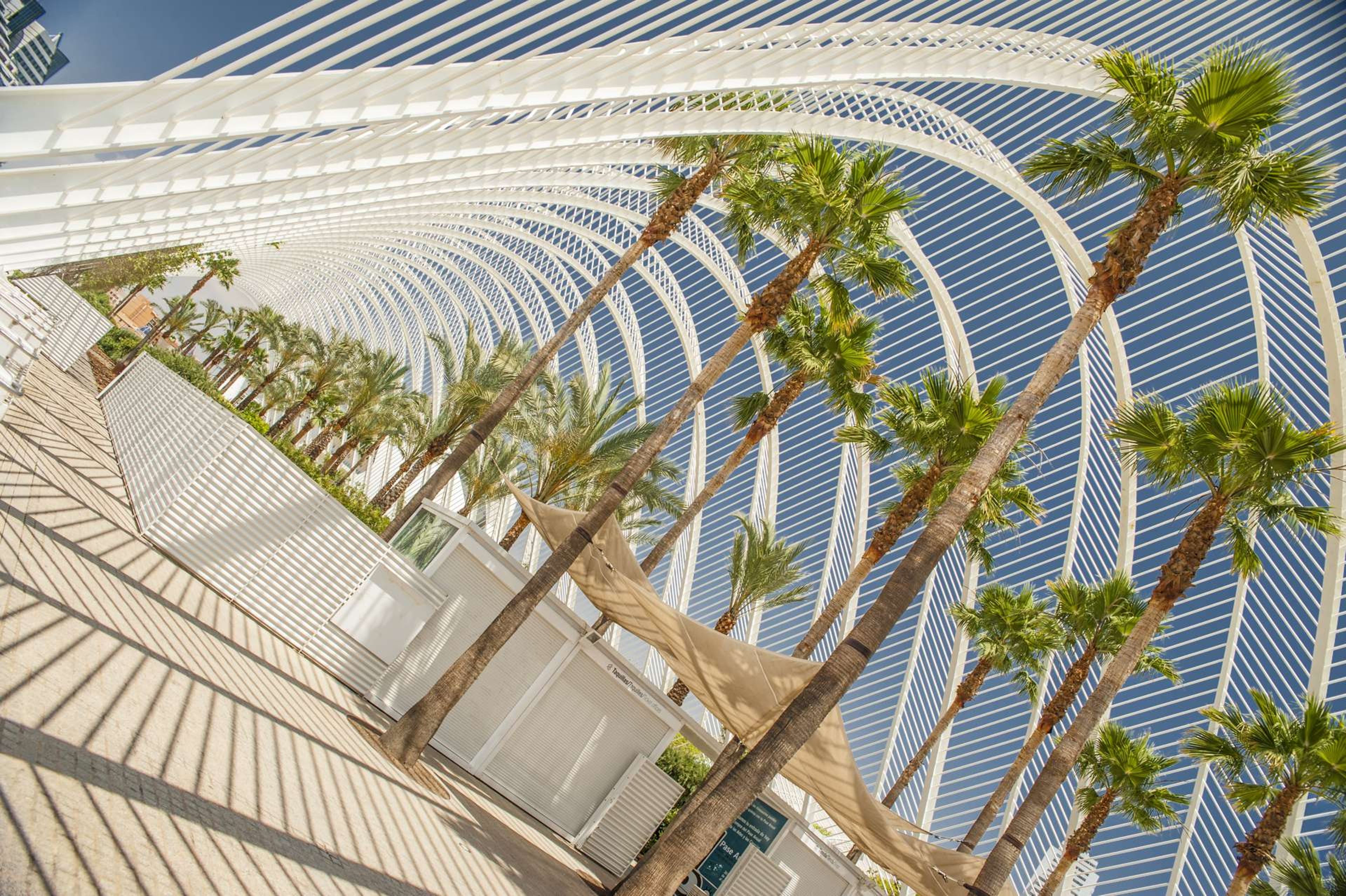 Spanje Valencia museum path