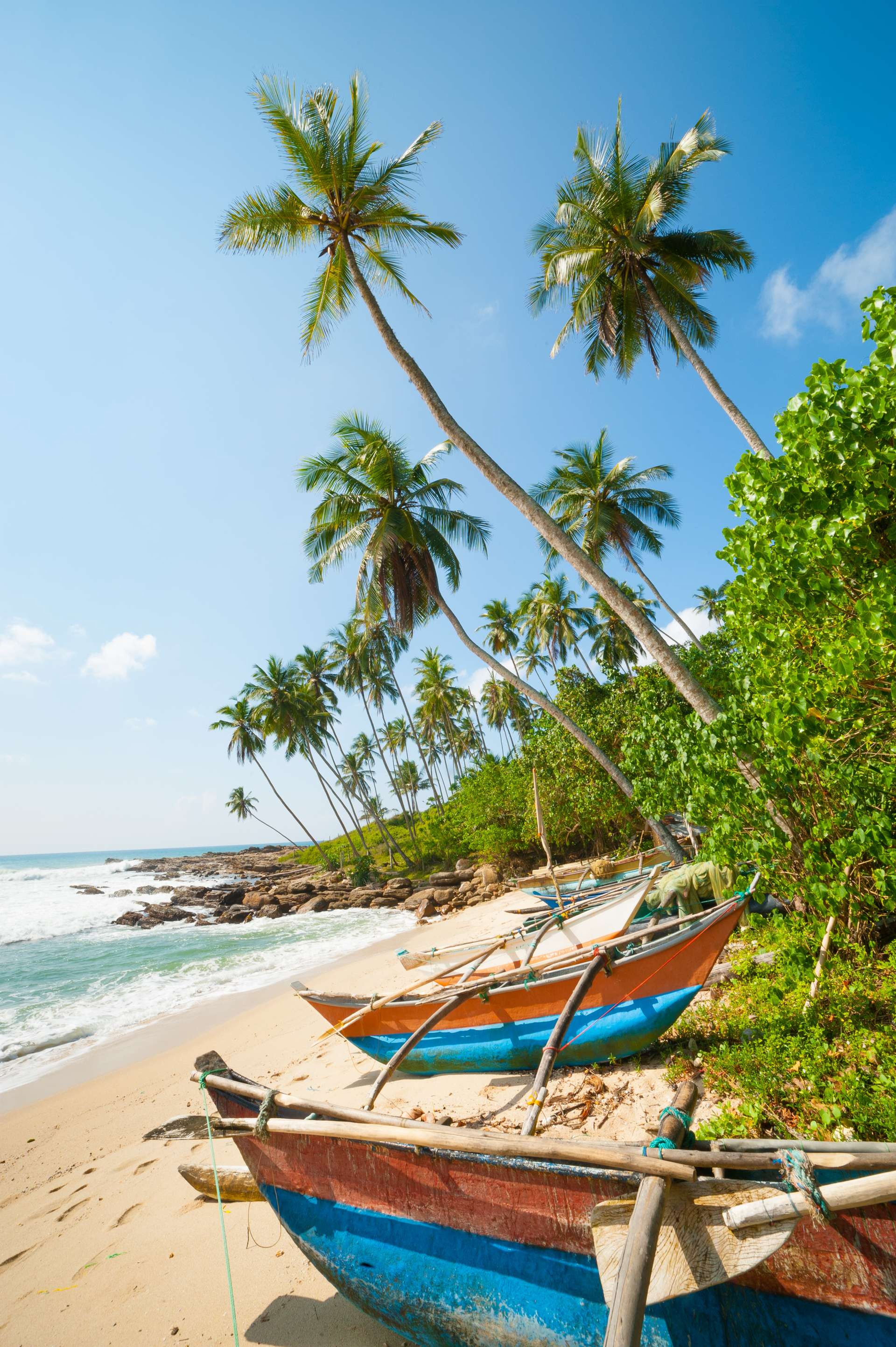 Sri Lanka tropical beach with palms and fishing boats