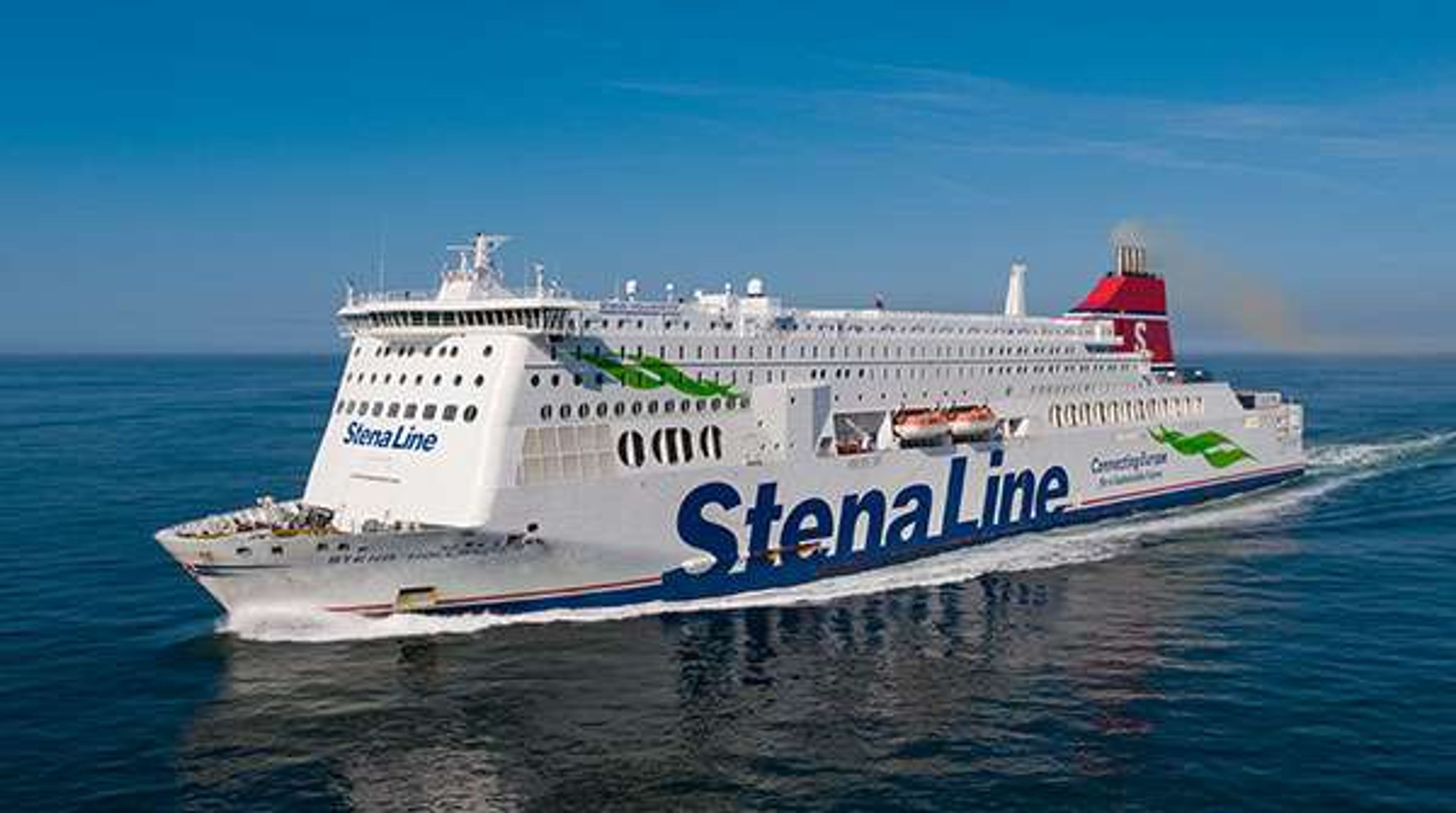 stena hollandica