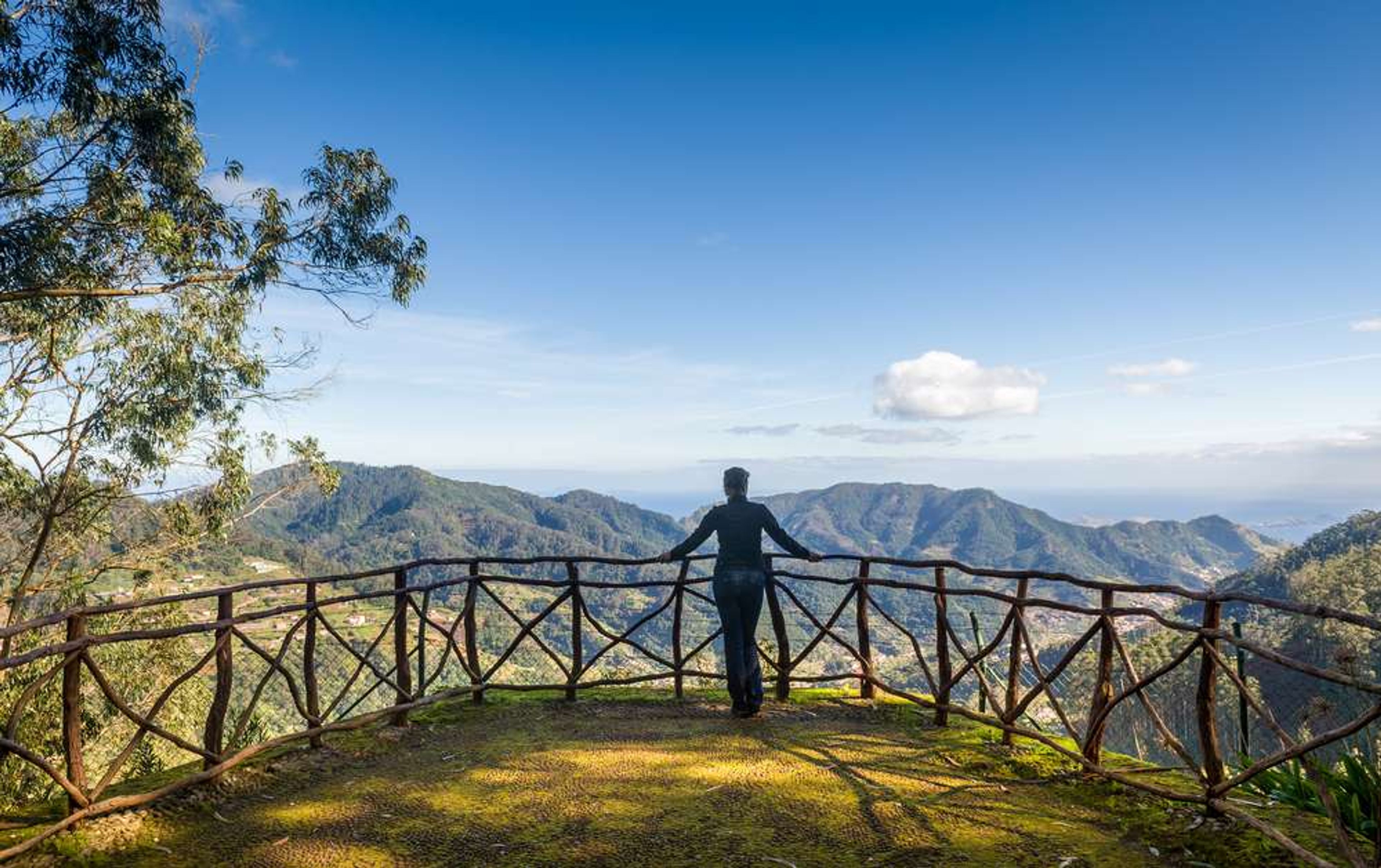 Portugal Madeira Santo da Serra park